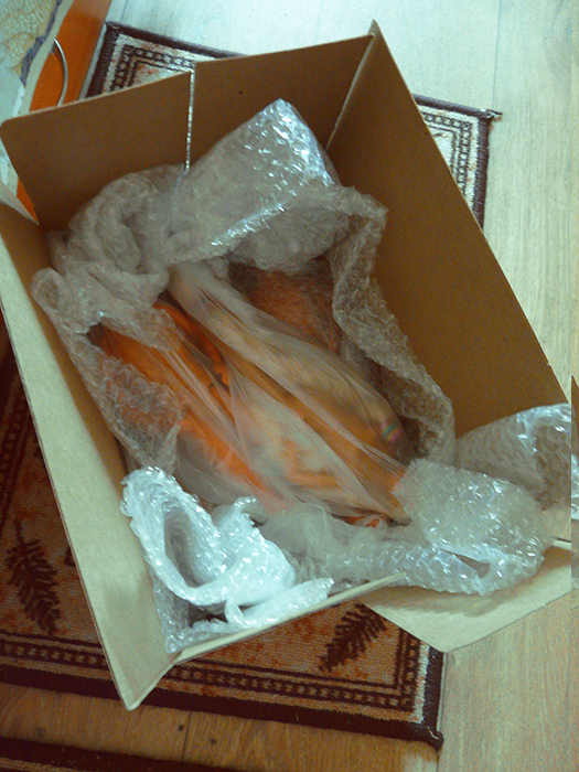 В дорогу дальнюю, дальнюю, дальнюю идем