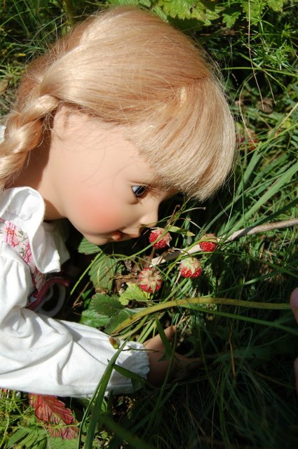 Путешествие по огромному миру! Ирис от E. Pfaffendorf и Тим от Susi Eimer