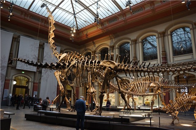 Взятие Берлина. Часть 3. Аква-дом, Улыбка бегемота и Прототип куколок Шильдкрот (фото 10)