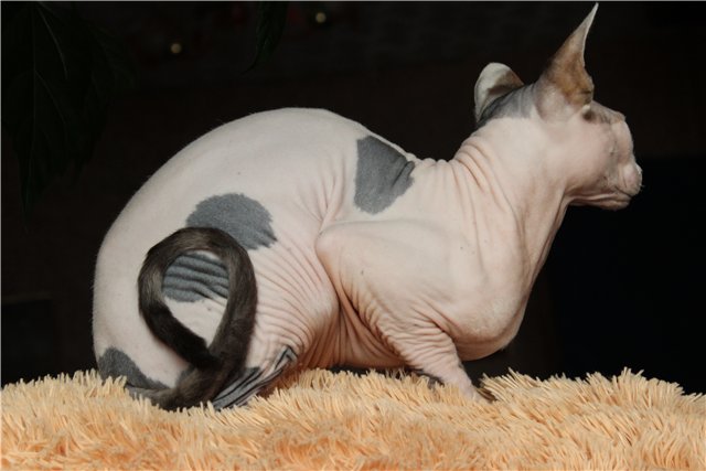 Мой Филимон! Кукла Ирины Кондрашовой (фото 8)