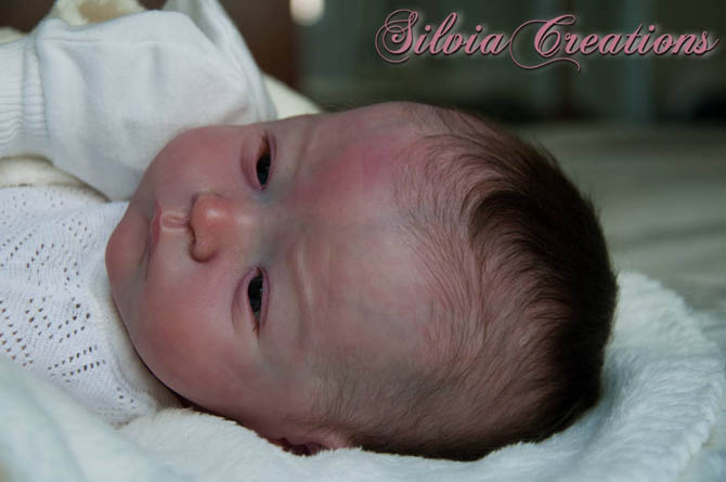 Новый молд Will от Натали Шолль