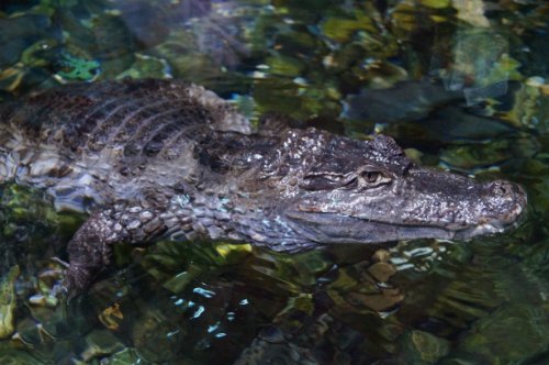 Воронежский океанариум — Туризм и путешествия: фотоотчеты из поездок