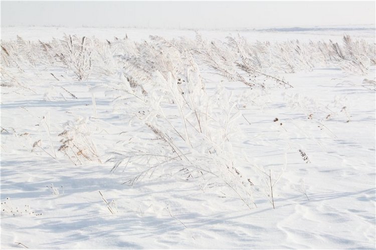 Зимняя прогулка моих крошек! Реалпуки Pupu и реалпуки Сосо