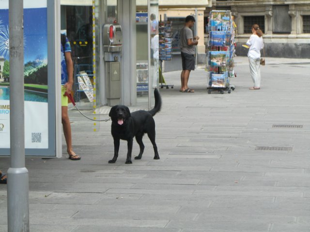 "Моя Италия". Часть 1 - Генуя