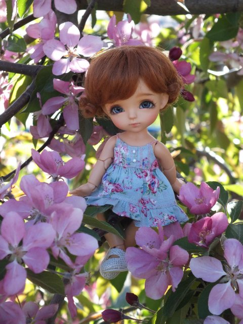 Моя четверка Лати (Lati Yellow) (фото 2)