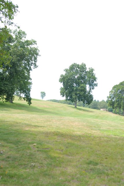 Мне березка нравится - ведь обе мы красавицы! Листья тихо шелестят, меж собою говорят