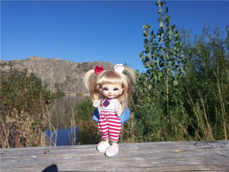 Сибинские озера. Фросенька-эльф высокогорный. ReaiPuki Pupu (фото 8)