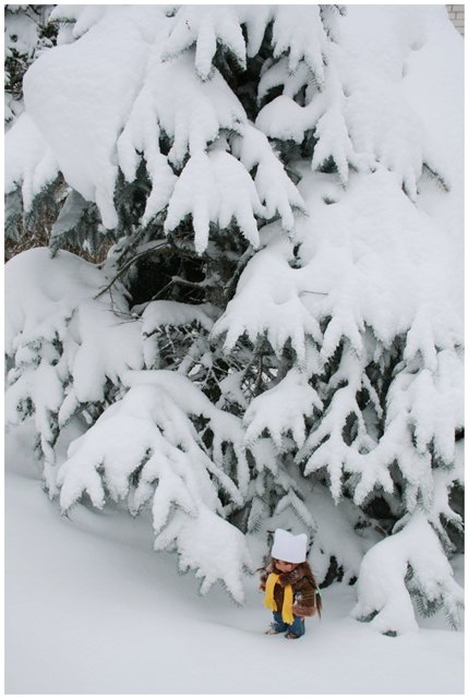 Вихтелята — Куклы Rosemarie Anna Muller (Мюллер): Вихтели (Wichtel) (фото 4)