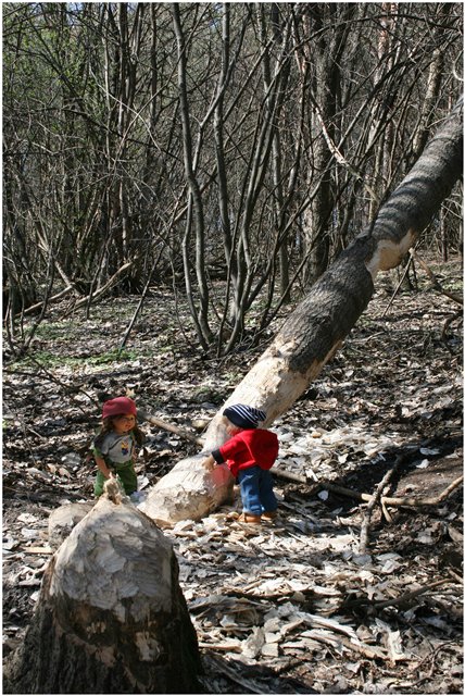 Небольшой поход Вихтелят на Ирдынские болота