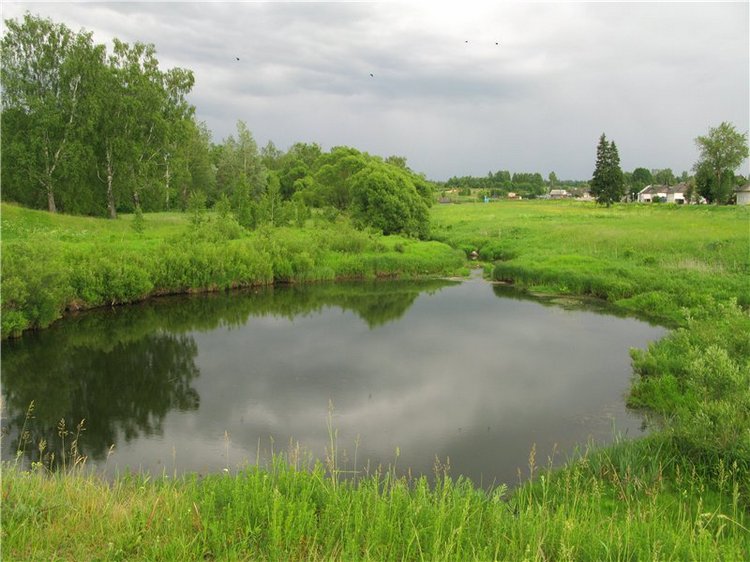 46-ой Пушкинский праздник поэзии в Берново. Часть вторая