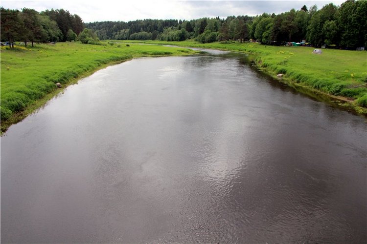 Троицкие гуляния у деревни Василёво, часть первая. Архитектурно-этнографический музей под открытым небом "Василёво"