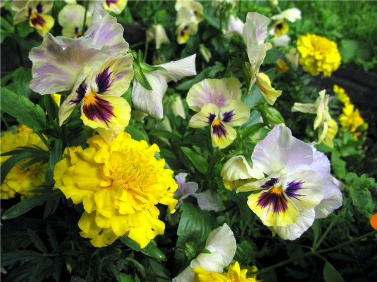 Кашин - город русского сердца. Часть пятая. Город - курорт, Санаторий "Кашин"