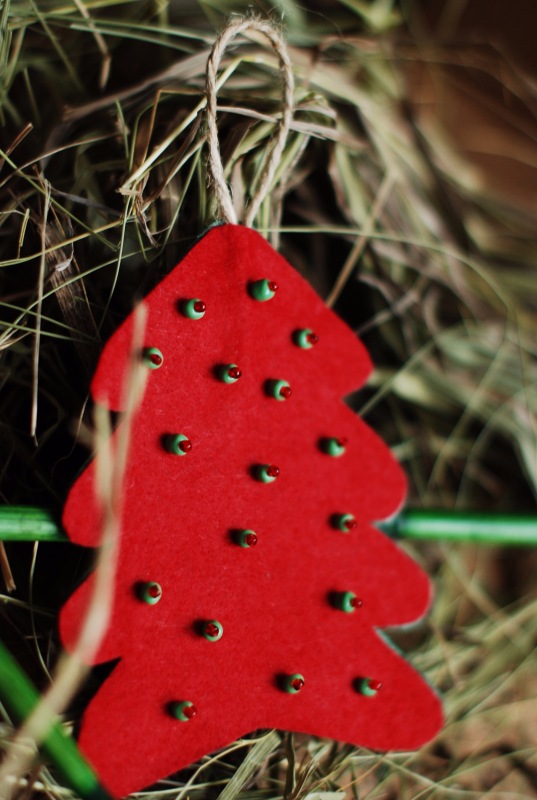 Ёлки-иголки — Другие хобби и увлечения: сад (фото 5)