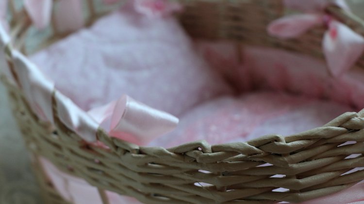 Люлечка для малышки Евочки (фото 10)