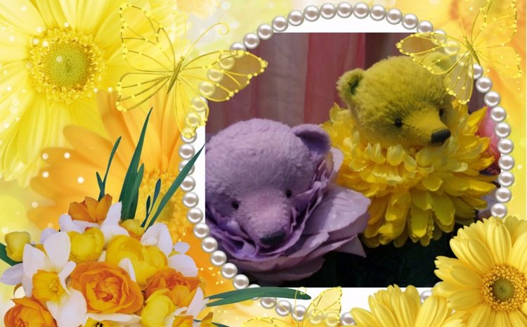 Hello Teddy 2016. Мишки, которые цветут круглый год