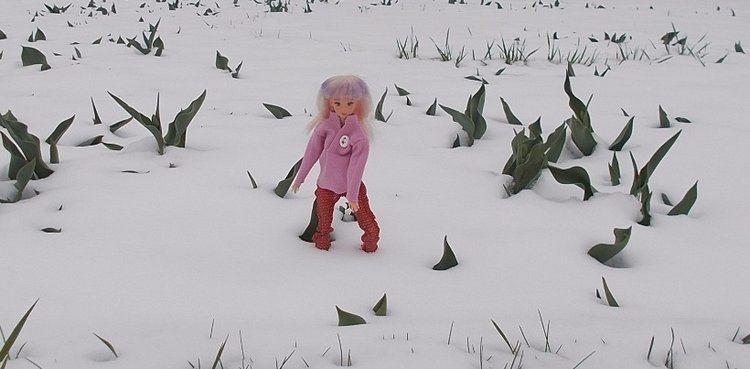 Зимняя сказка в мае или просто- прогулка