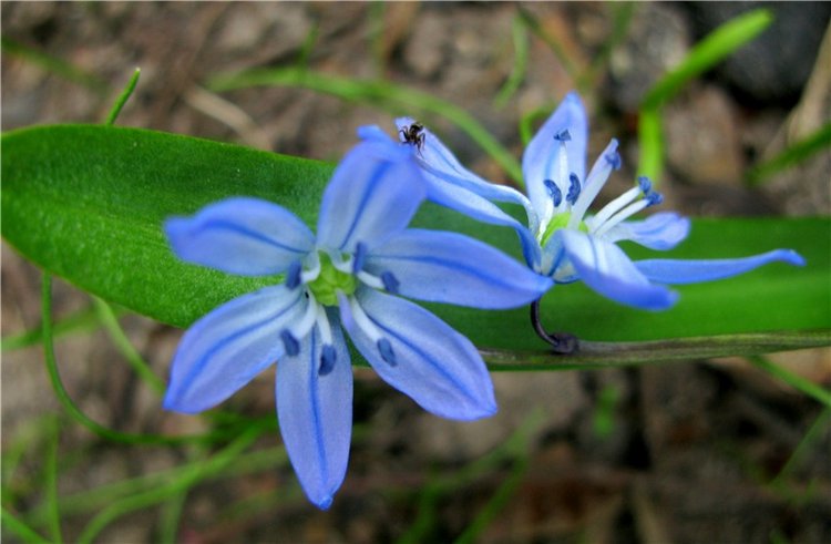 Майский день в Митино — Туризм и путешествия: фотоотчеты из поездок