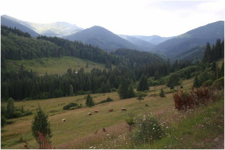 Как мы горы покоряли — Куклы Rosemarie Anna Muller (Мюллер): Вихтели (Wichtel)