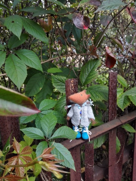 Краски осени. Прогулка с авторским лисёнком (фото 10)