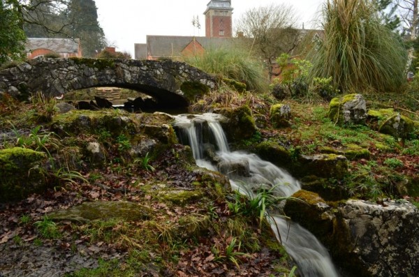 Зимнее солнце. Глава 10. Джаред из семьи Фоксов (фото 8)