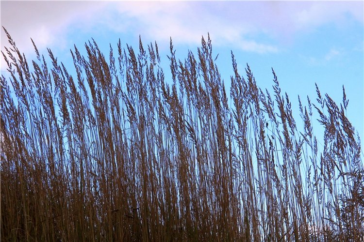 Тверской Водопад — Туризм и путешествия: фотоотчеты из поездок