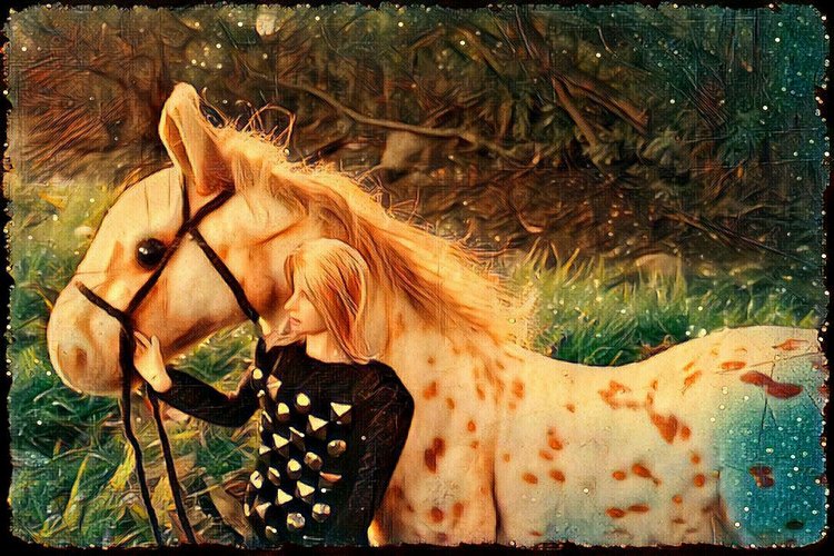 Зимнее солнце. Глава 5. Воспоминания