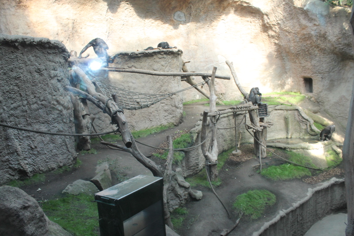 По Германии: зоопарк Лейпцига, часть 1