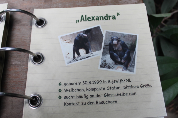 По Германии: зоопарк Лейпцига, часть 3