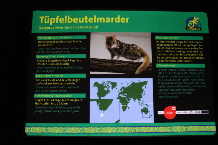 По Германии: зоопарк Лейпцига, часть 2 (фото 6)