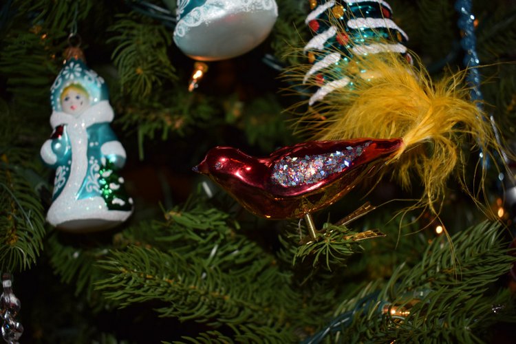 Болталка и разговоры обо всем: жизнь