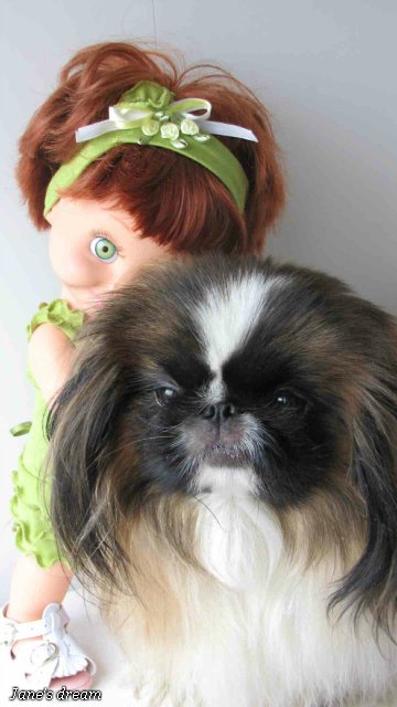 Прекрасные Феи Цветов. Galoob - Baby Face, часть 1