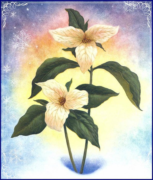 Сказочный мир Рут Сандерсон (Ruth Sanderson)