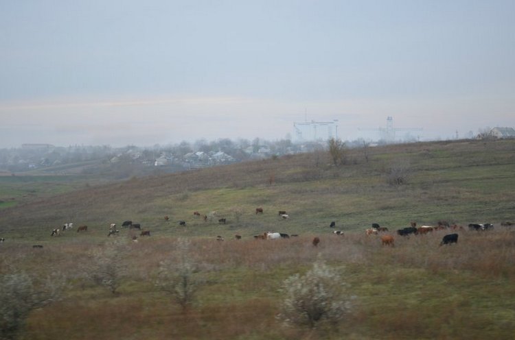 Моя поездка на выставку "VI Международный салон Модна лялька" Киев | Бэйбики Моя поездка на выставку "VI Международный салон Модна лялька" Киев