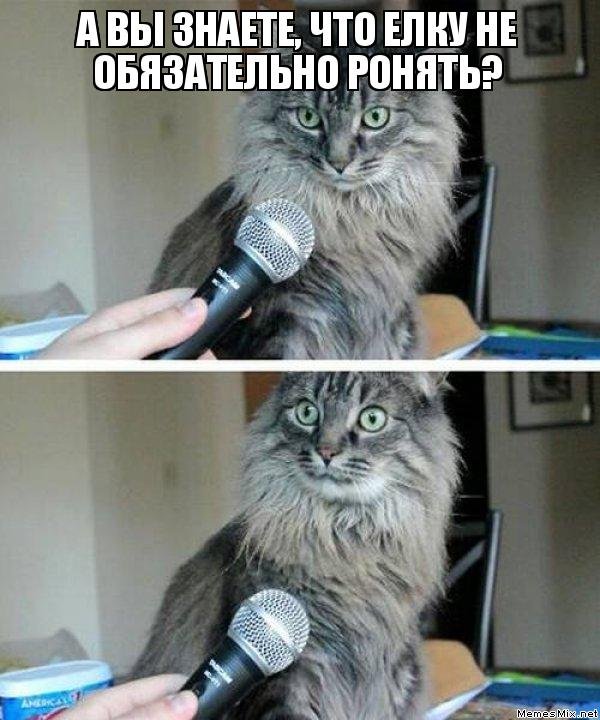 Битва нервов (Oleum's dolls Cat_Sphinx)