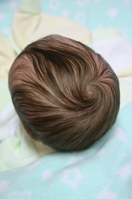 Кукла реборн CASPAR прототип художник Beatrix Schröder (фото 7)