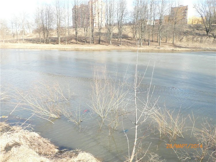 Сюрприз. Авторская игрушки своими руками (фото 6)