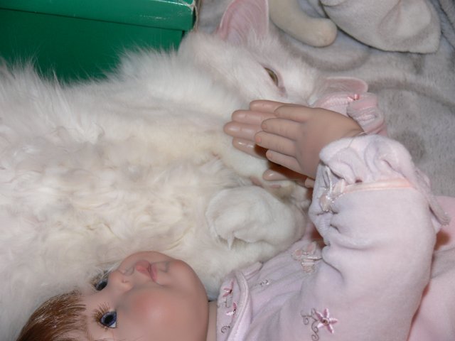 Интересно, кто кого больше любит