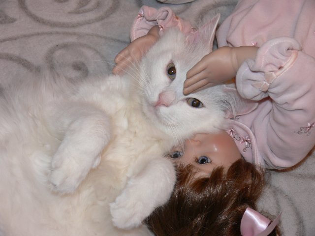 Интересно, кто кого больше любит