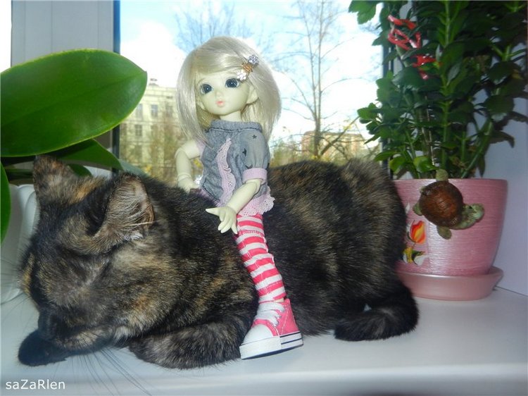 Мои любимые FairyLand(ики) (фото 10)