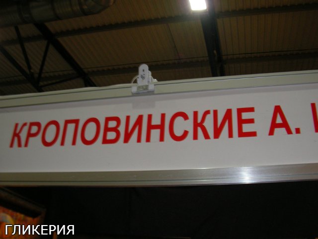 Киевская выставка кукол "Модна лялька 7" 2014, фото-отчёт | Бэйбики Киевская выставка кукол "Модна лялька 7" 2014, фото-отчёт