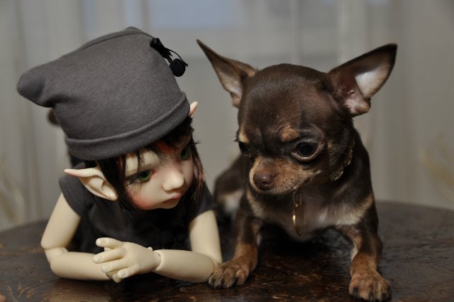 Мой маленький гномик Талиса и Фенечка от Кайе Виггз