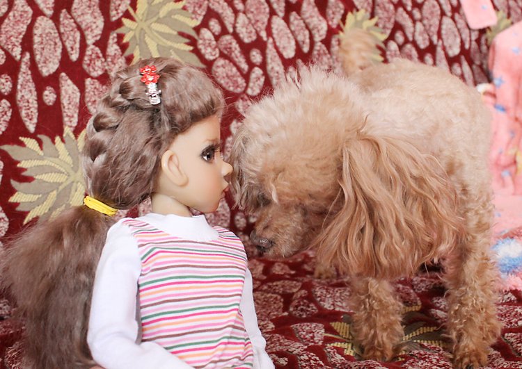 Знакомство Лолы, Kaye Wiggs