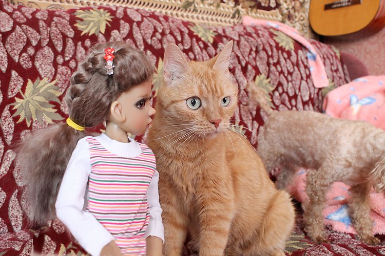 Знакомство Лолы, Kaye Wiggs