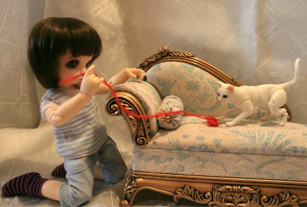 БЖД питомец - кот Као-Мани