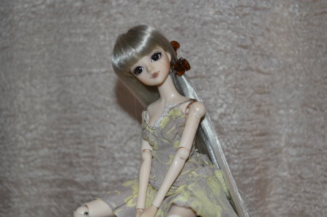 Джеечка Софийка (бывшая Риволи)