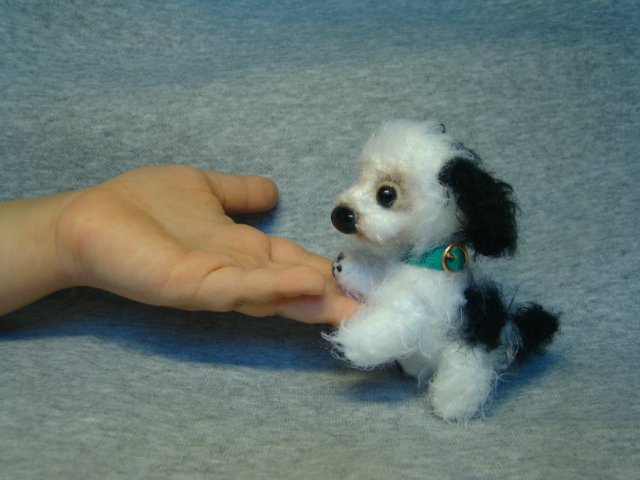 Пёса моя песа, лапа моя лапа.. Авторская игрушка валянием Ольги Чернухо