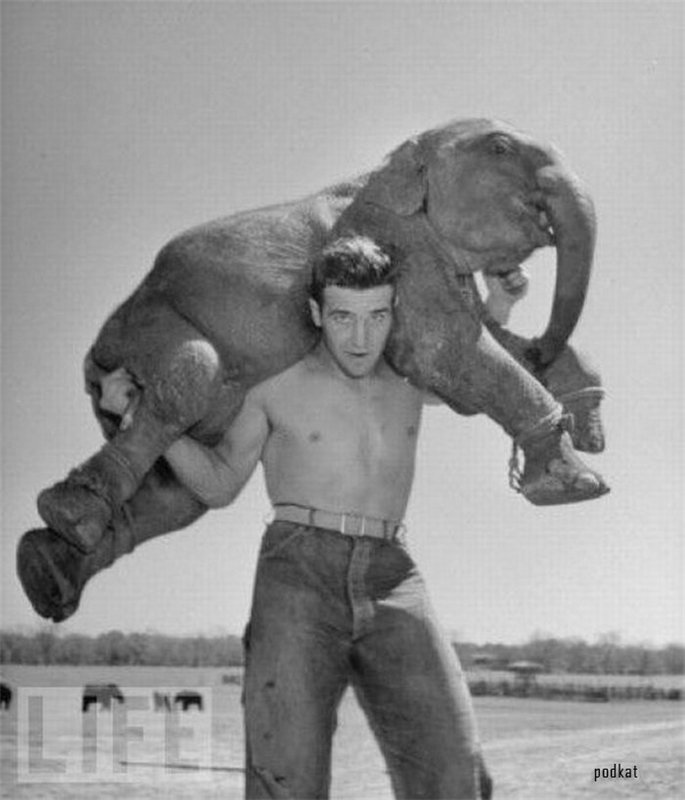 На пороге взрослой жизни — Болталка и разговоры обо всем: жизнь (фото 4)