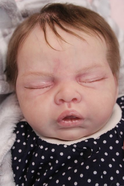 Х Московская международная выставка МишкаГрад 2016