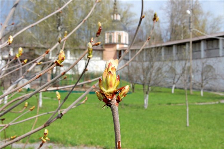 Путешествие в Старицу накануне Светлой Пасхи. Часть вторая | Бэйбики Путешествие в Старицу накануне Светлой Пасхи. Часть вторая (фото 8)