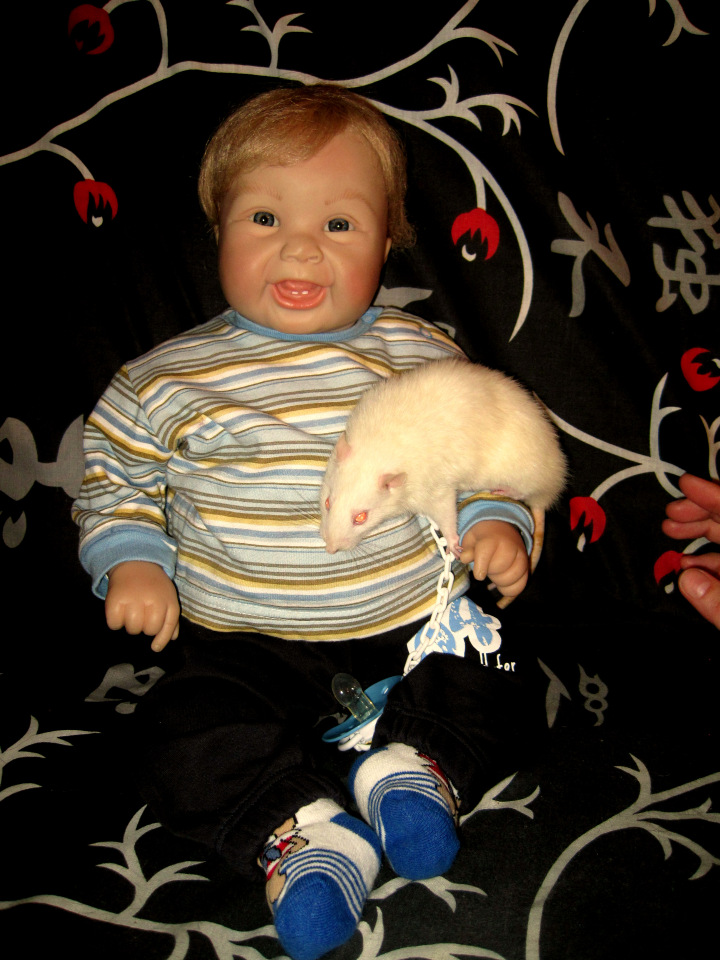 Маш новенький малыш Ванечка. Коллекционная кукла Tinneke Steensens | Бэйбики Маш новенький малыш Ванечка. Коллекционная кукла Tinneke Steensens